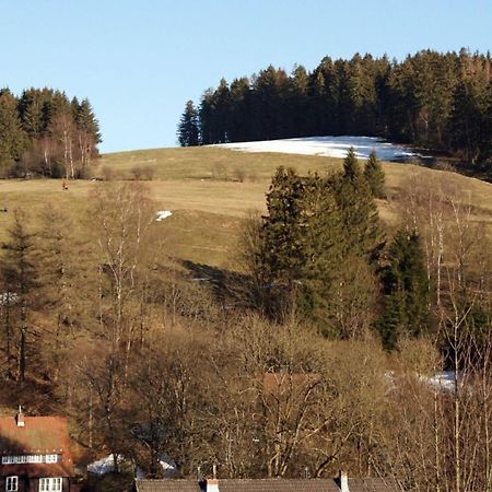 Ferienwohnung Himmelblau - Altenau Harz Ngoại thất bức ảnh